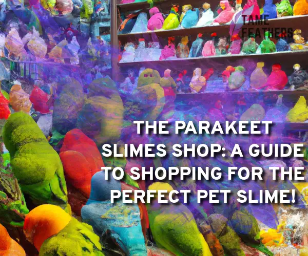 parakeet slimes shop