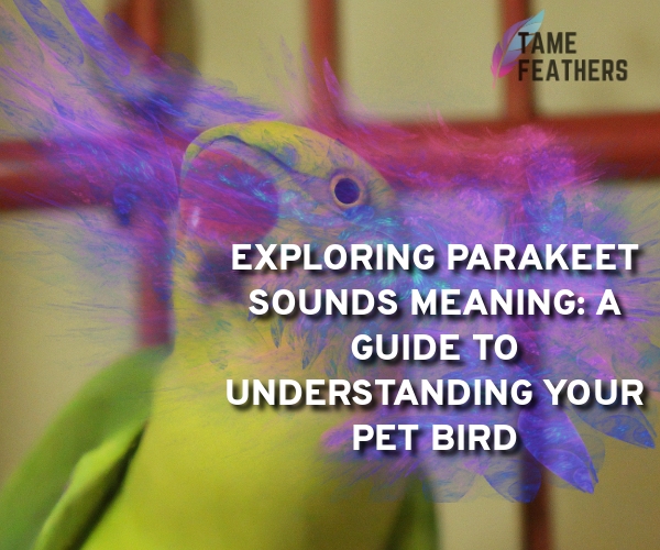 parakeet sounds meaning