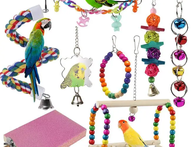 Toys For Parakeets