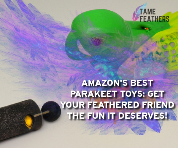 parakeet toys amazon
