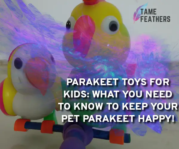 parakeet toys for kids