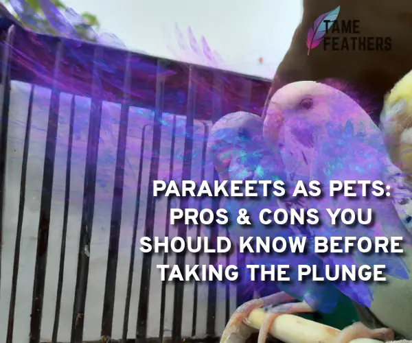 parakeets as pets pros and cons