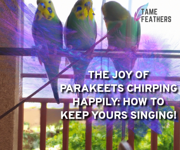 parakeets chirping happily