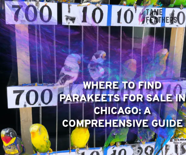 parakeets for sale chicago