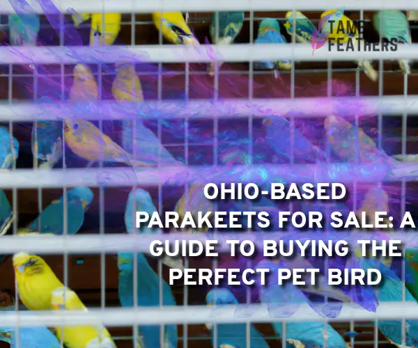 parakeets for sale in ohio