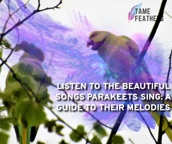 parakeets singing songs