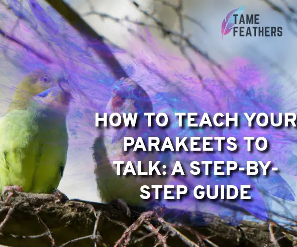 parakeets talking