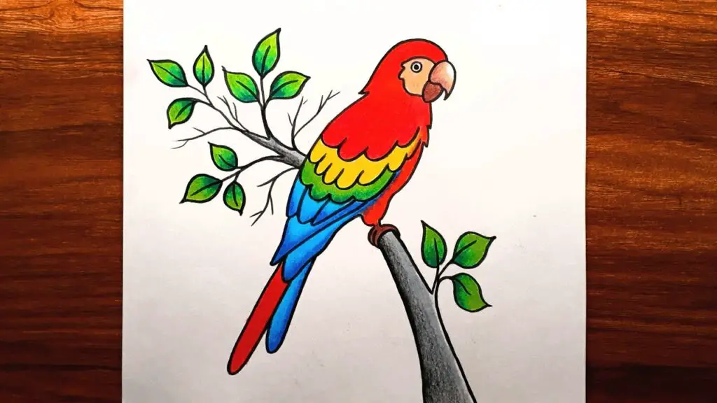parrot drawing color