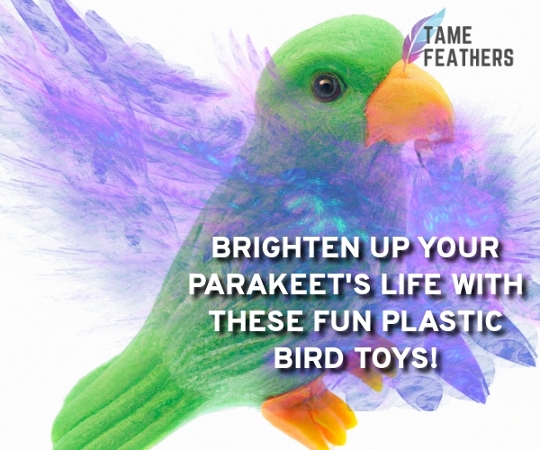 plastic parakeet bird toy