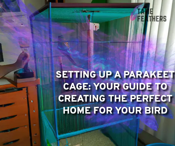 setting up a parakeet cage