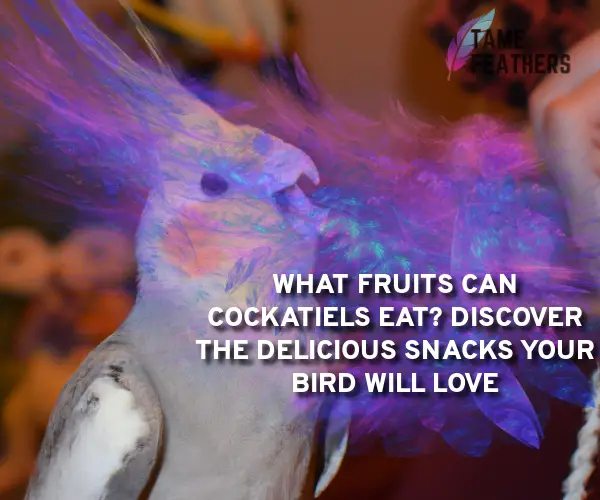 what fruits can cockatiels eat