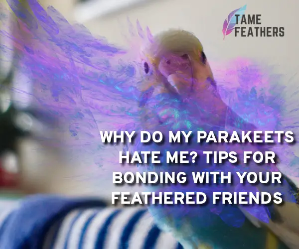 why do my parakeets hate me