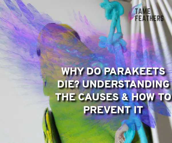 why do parakeets die