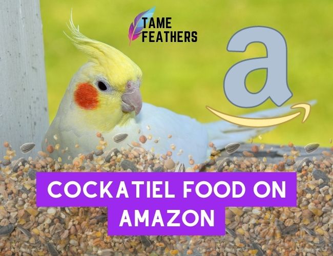 Cockatiel Food on Amazon: A Guide To Finding The Best Nutrition For Your Pet