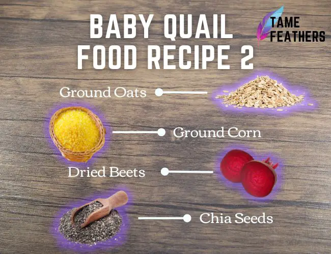 2) Ground Corn, Ground Oats, Dried Beets & Chia Seeds