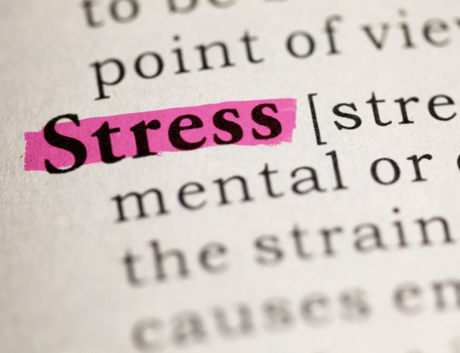 Reducing Stress Levels