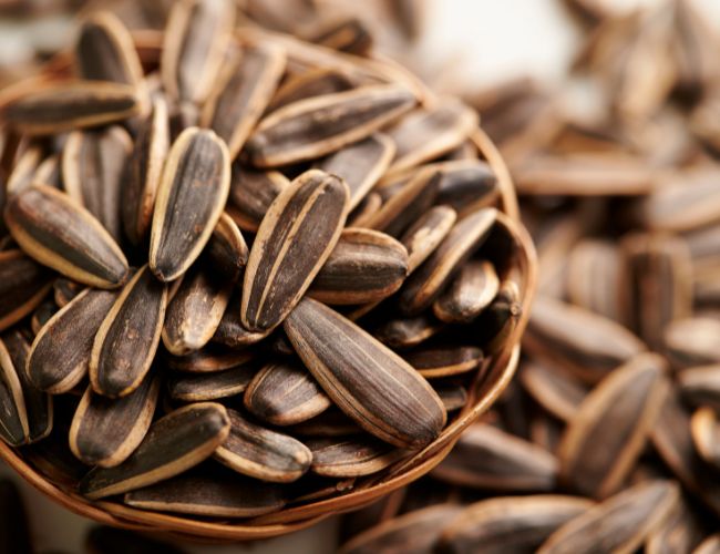 Sunflower Seeds Are High In Protein But Is It Enough?