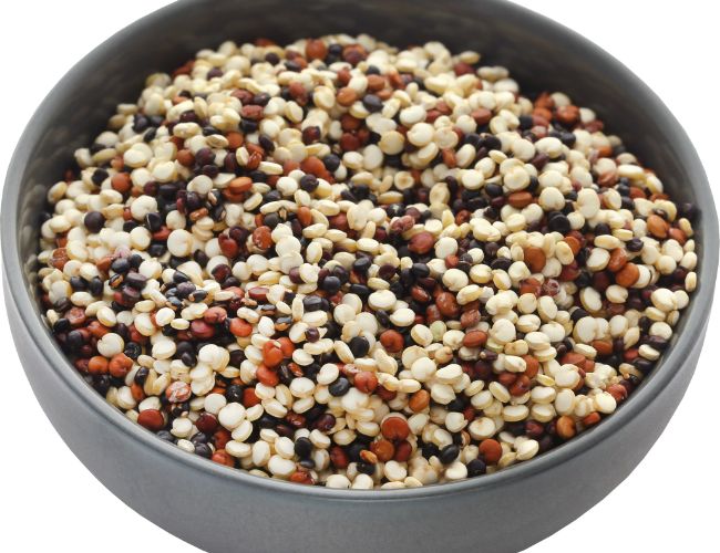 How To Feed Quinoa To Birds
