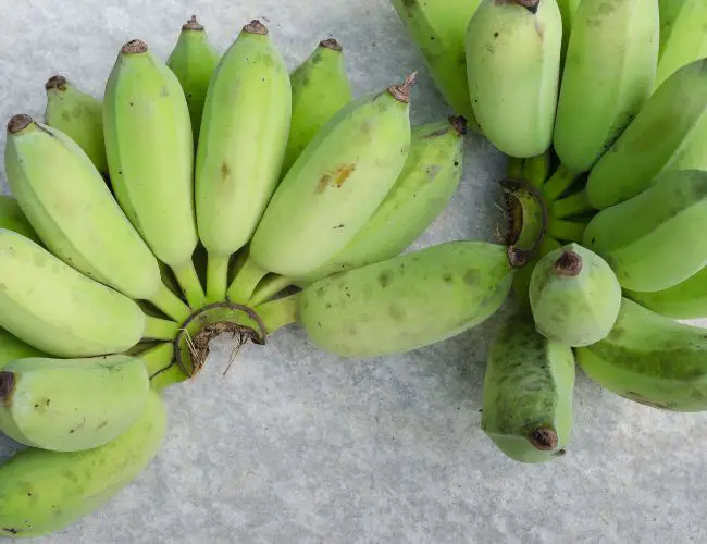 Organic Or Non-Organic Bananas?
