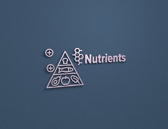 Nutrition: Why It Matters