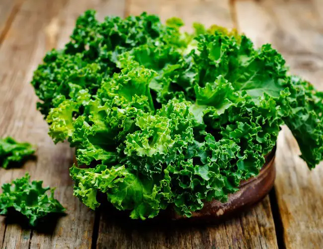 Prepping and Presenting Kale for Your Pet