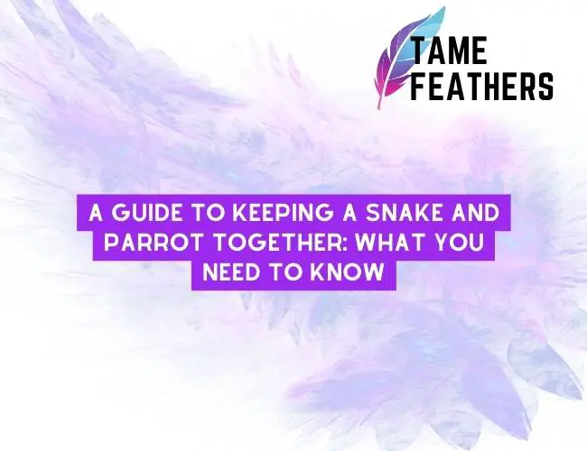 A Guide To Keeping A Snake And Parrot Together