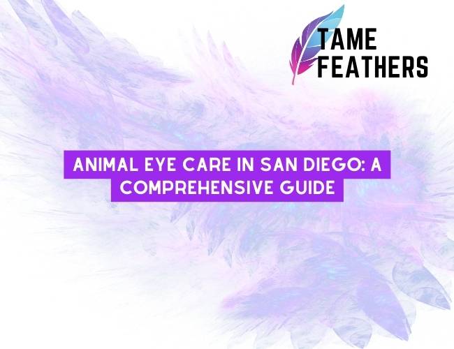 Animal Eye Care In San Diego