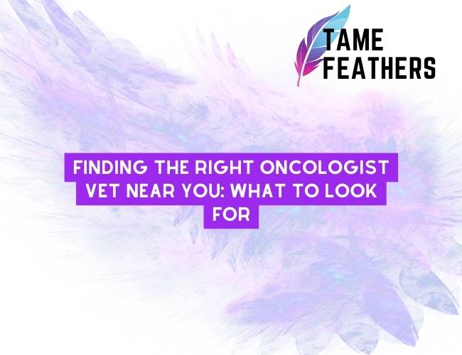 Finding The Right Oncologist Vet Near You