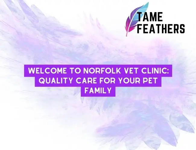 Welcome To Norfolk Vet Clinic