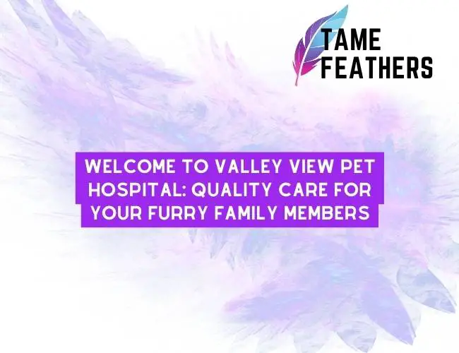 Welcome To Valley View Pet Hospital